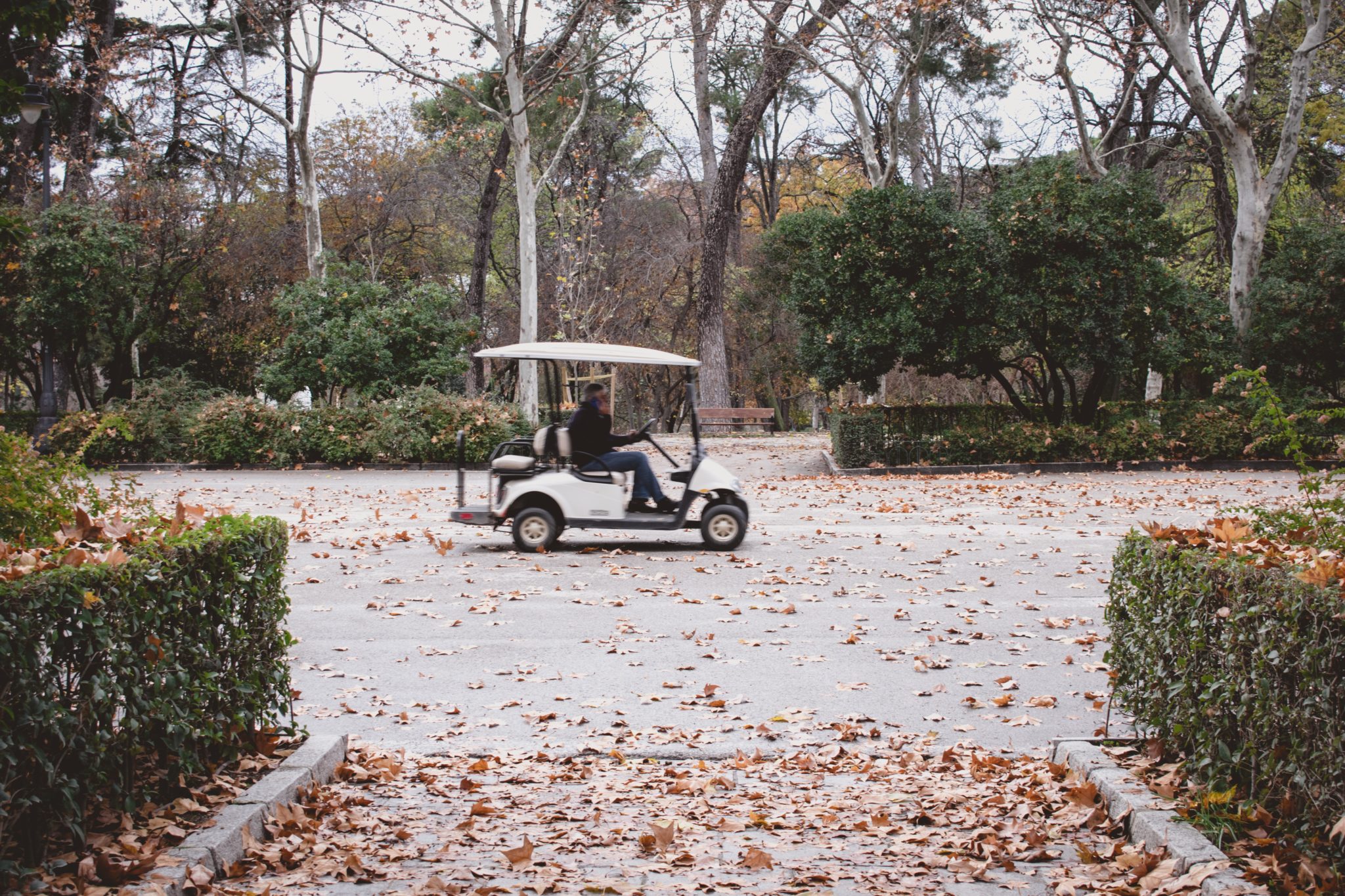 golf-cart