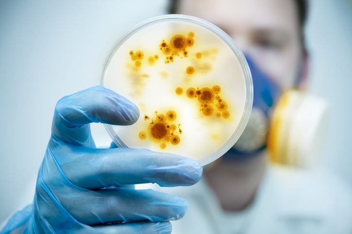 scientist-holding-bacteria