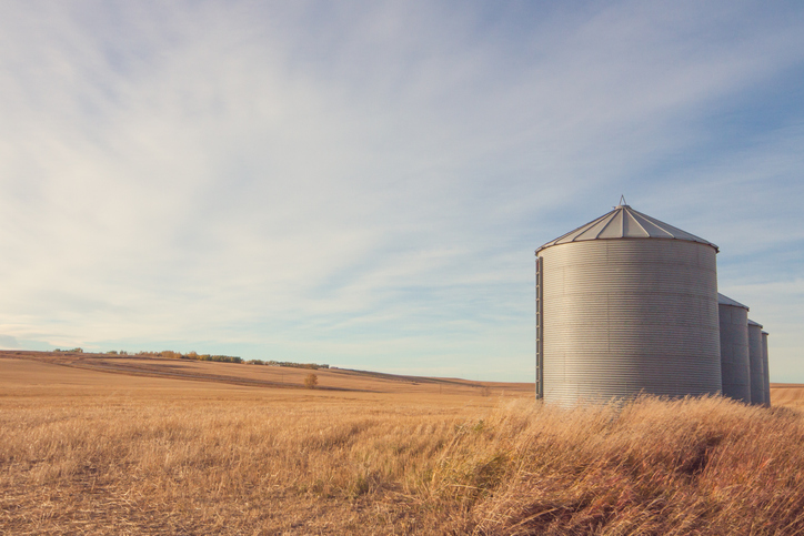 grain-elevator