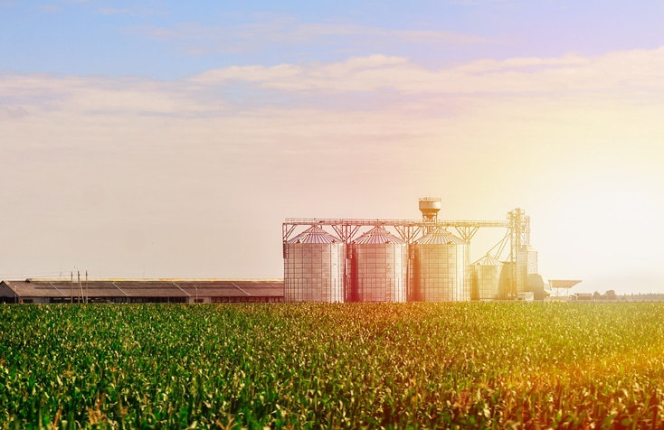 farm-agriculture-corn-field