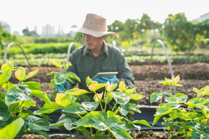 soybean-farmer