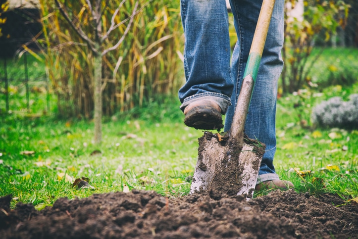 digging-in-garden