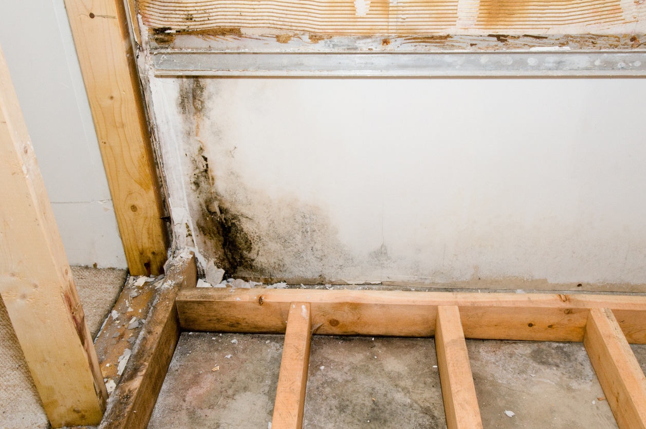 indianapolis toxic mold lawyers