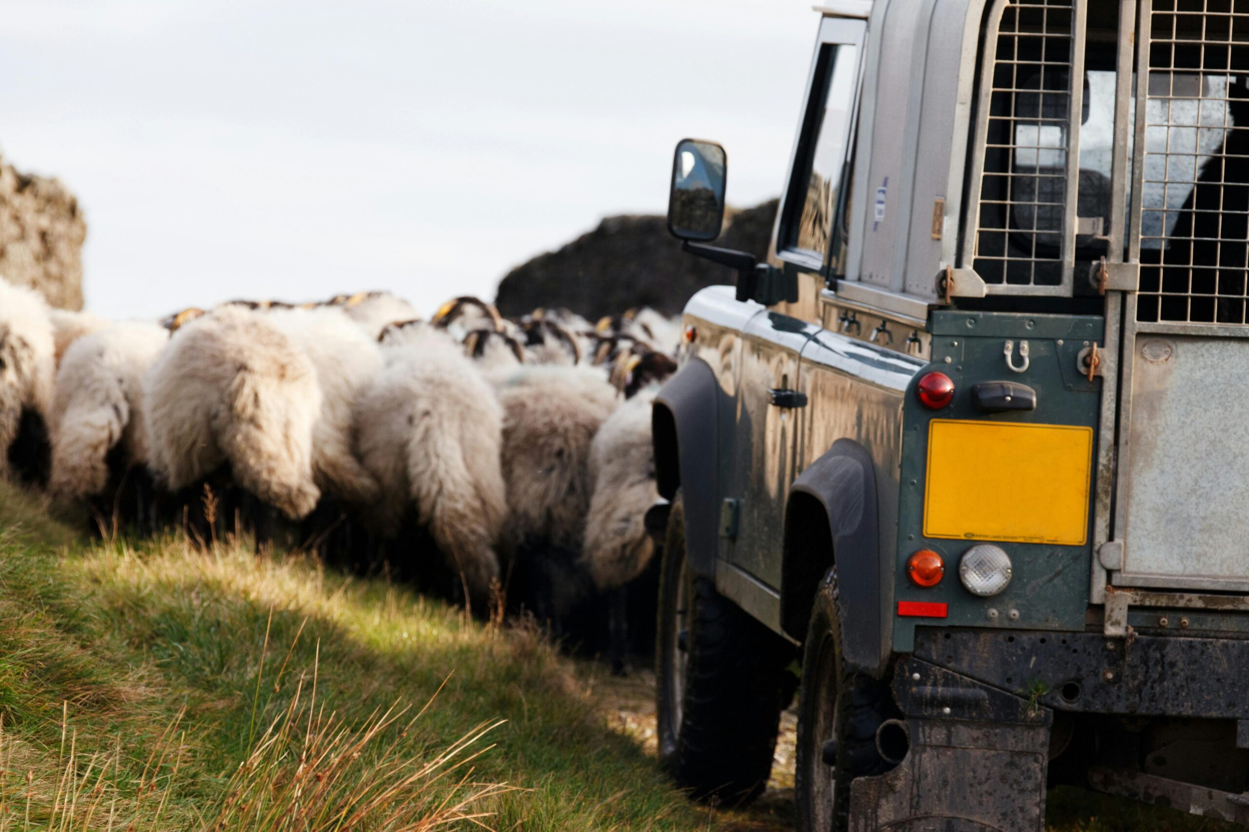 Farming Transportation: Covered Farm Vehicle Regulations